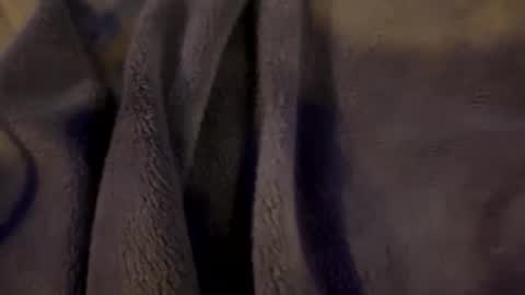 Snapshot of wiley0520 chatting on 01.15.26 wiley0520 online show from 01.15.26