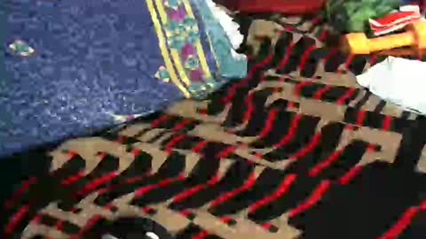 Willamyth online show from 02.18.25