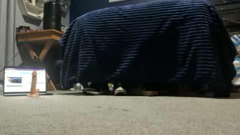 williambisexual online show from 12.22.25