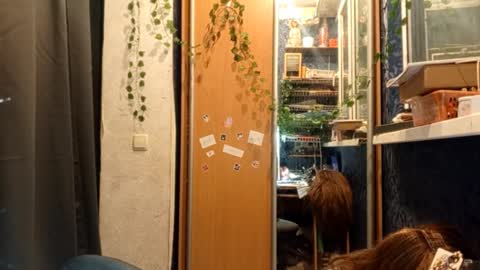 Snapshot of willodeanheitner chatting on 02.11.26 Phoebe online show from 02.11.26