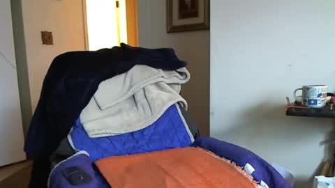 willtie26 online show from 12.02.25