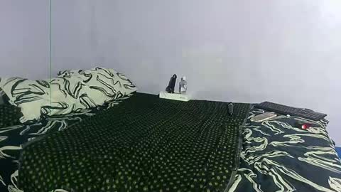 Snapshot of wilmaassylum chatting on 12.27.24 wilmaassylum online show from 12.27.24