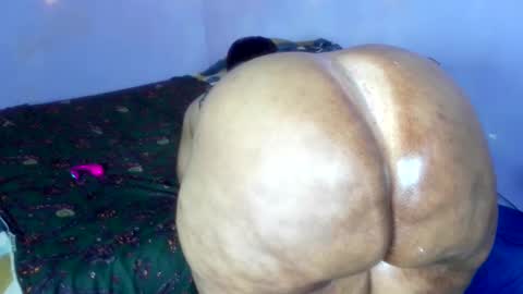 Snapshot of wilmaassylum chatting on 12.01.25 wilmaassylum online show from 12.01.25