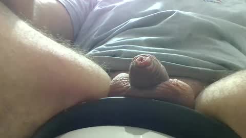 windowpane online show from 02.01.25