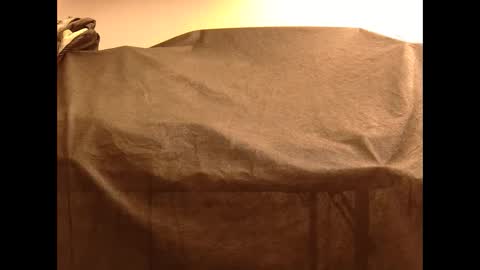 Snapshot of withbothhandsplease chatting on 12.25.24 Mater online show from 12.25.24