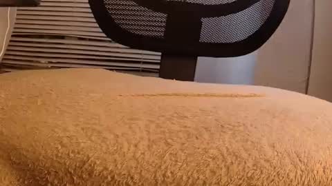 Snapshot of withbothhandsplease chatting on 09.29.25 Mater online show from 09.29.25