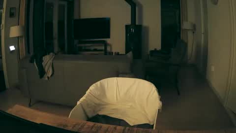 woodwurm and Snoeske online show from 12.19.25