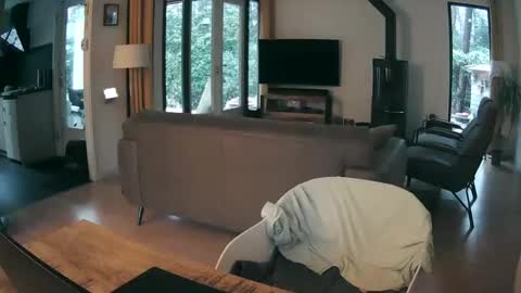 woodwurm and Snoeske online show from 02.19.26