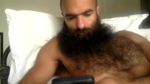 woof_wolf37 online show from 05.13.26