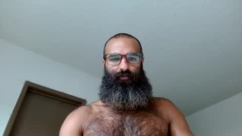 woof_wolf37 online show from 07.03.26