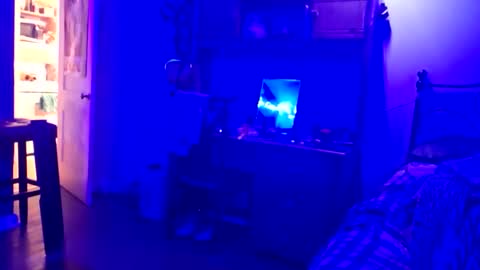 wowsers7 online show from 11.16.25