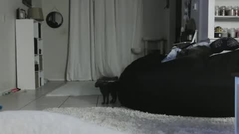 Crystal Lake online show from 01.05.25