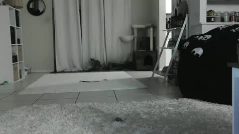 Crystal Lake online show from 01.12.25