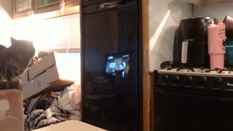 x2kayx2 online show from 02.03.26