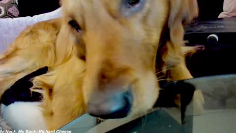 Lily online show from 01.15.25