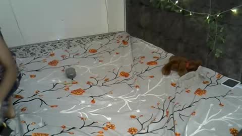 Snapshot of xalia_caramel chatting on 11.17.25 Alexa online show from 11.17.25