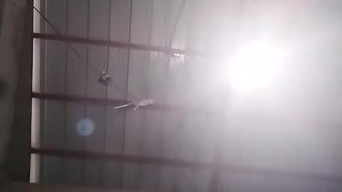 Bella Amor online show from 02.24.26