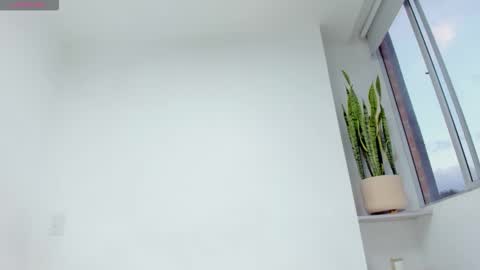 Xavier online show from 12.17.25