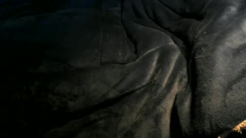 Toke online show from 01.06.25