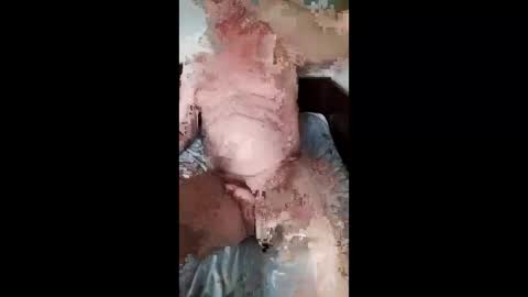 Slava online show from 03.29.26