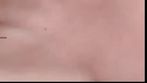 xinbao799322 online show from 11.14.25