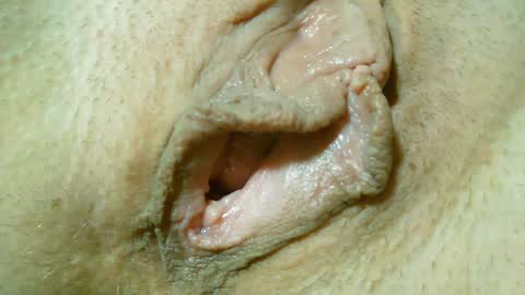 Lost in Lust online show from 01.31.25