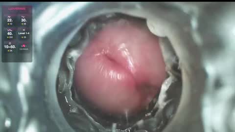 xoxowtf online show from 12.01.24