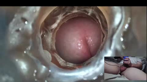 xoxowtf online show from 02.24.25