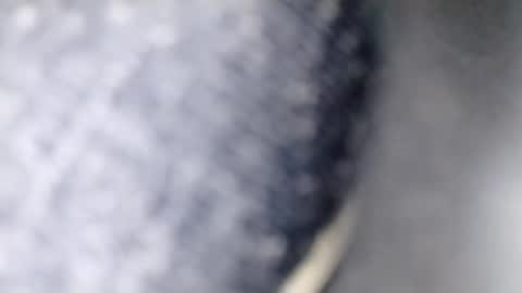 xploid1982 online show from 12.17.25