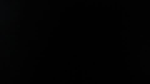 wuulmarpoltieer online show from 12.05.24