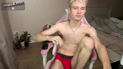 Snapshot of xxevilfox chatting on 12.08.24 Fox online show from 12.08.24