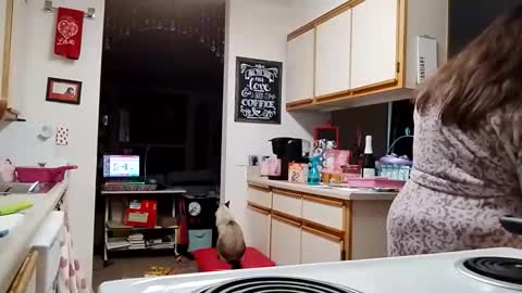 Strawberry Jane online show from 02.03.26