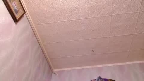 isa and gonzo online show from 12.20.24