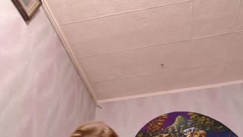 isa and gonzo online show from 03.07.25