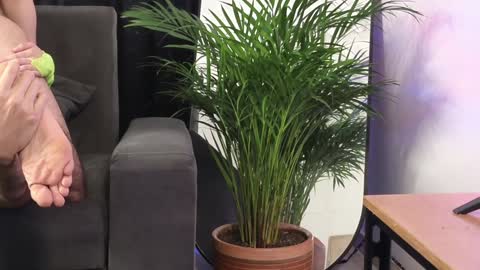 July and Fer online show from 02.04.25