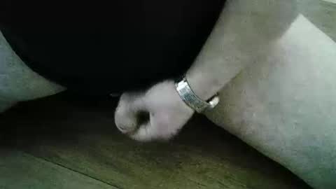 Snapshot of xyjjmop chatting on 03.02.26 xyjjmop online show from 03.02.26