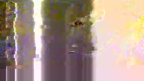 yangolox3 online show from 05.12.26