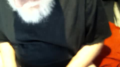 .     y e l l o w s n a k e s       . online show from 02.26.25