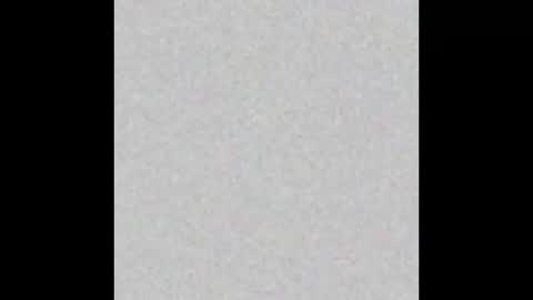 .     y e l l o w s n a k e s       . online show from 03.16.26