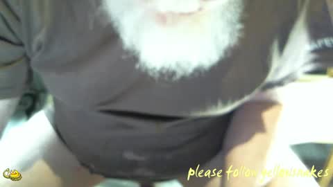 .     y e l l o w s n a k e s       . online show from 04.19.26