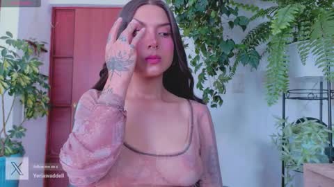 yeriawaddell  online show from 03.15.26