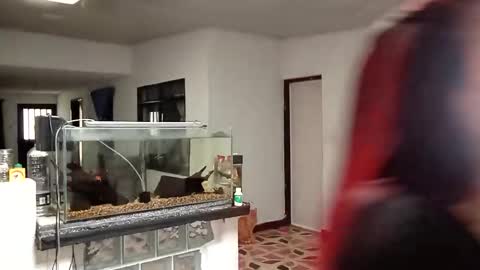 yesika_t online show from 01.09.26