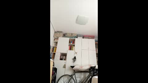 ymasb online show from 12.20.25