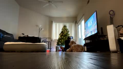 Snapshot of ynaong chatting on 12.18.24 Palmela Handerson online show from 12.18.24