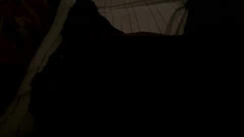 Snapshot of ynno31 chatting on 11.18.25 Giannis online show from 11.18.25