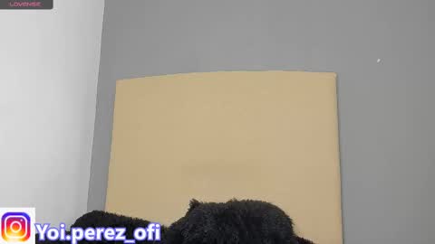 Yoi Olimpo online show from 02.12.25