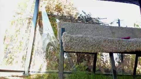 Snapshot of you_love_melisa chatting on 11.02.25 private on 18 per minute start private 500 tokensOnlyfans online show from 11.02.25