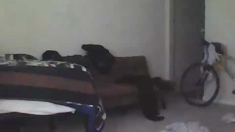 kindahorny online show from 02.15.25