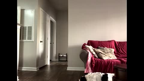 kindahorny online show from 10.14.25