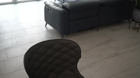 Siebel. online show from 03.04.25